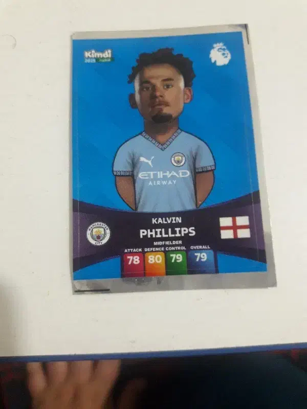 ۱ عدد برچسب ۱عدد کارت ۱عدد فیگور|کلکسیون و سرگرمی|تبریز, |دیوار