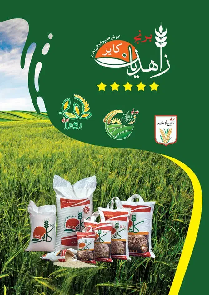 برنج ایرانی نقد و چکی|خوردنی و آشامیدنی|قم, باغ اشرافی|دیوار