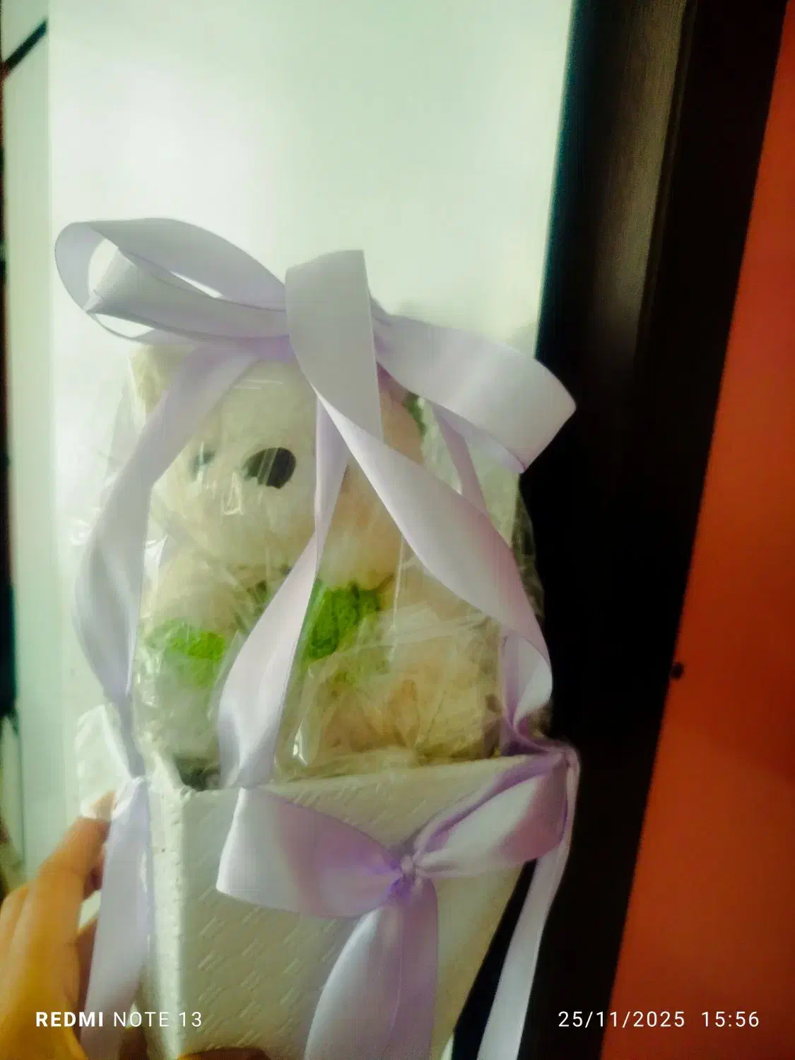 عروسک|اسباب‌بازی بچه|ایلام, |دیوار