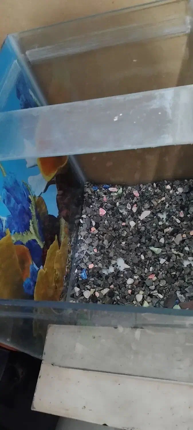 اکواریوم پمپ هوا تسفیه اب|ماهی|بیرجند, |دیوار