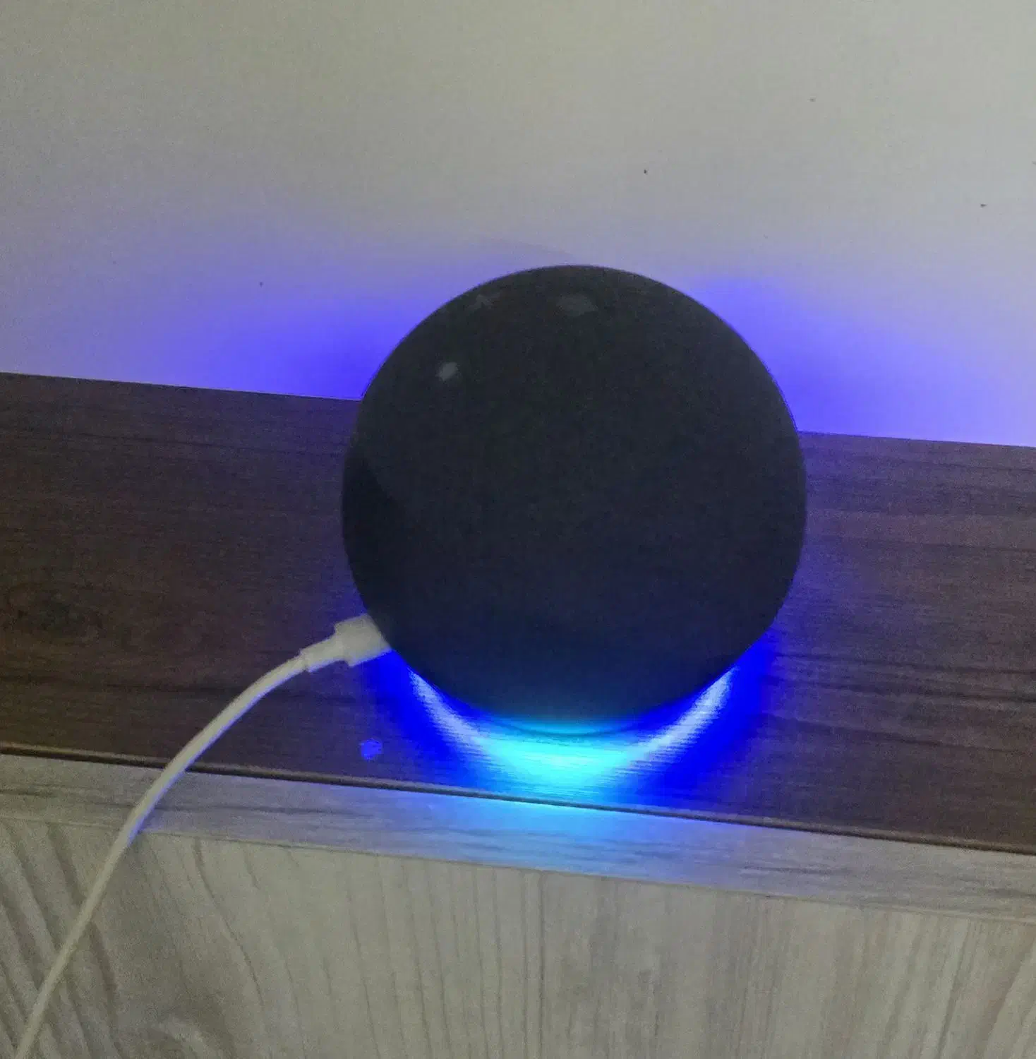 دستیار صوتی آمازون|سیستم صوتی خانگی|کرج, عظیمیه|دیوار