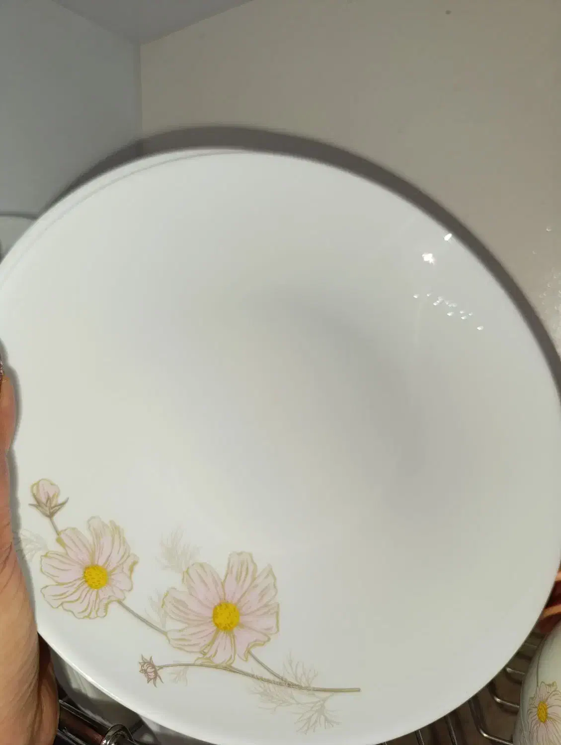 سرویس اوپال ۶ماه استفاده شده|ظروف سرو و پذیرایی|پره‌سر, |دیوار