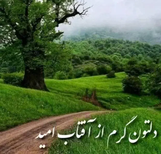 تدریس تدریس خصوصی|خدمات آموزشی|تهران, دروس|دیوار
