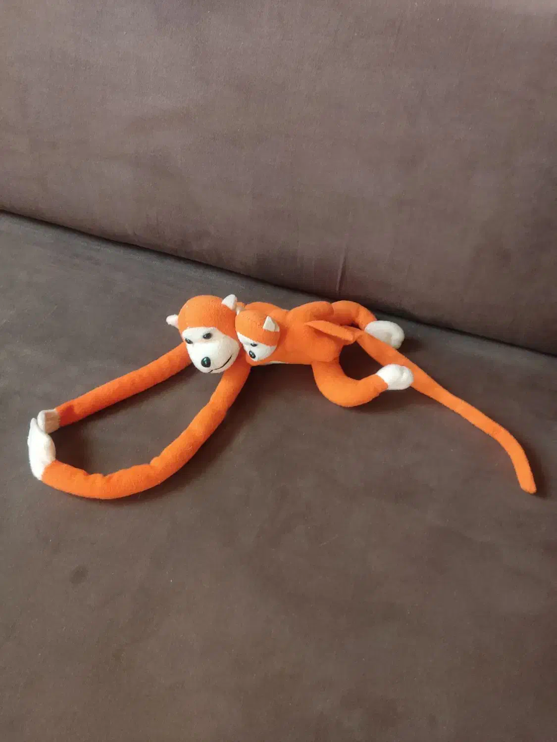 عروس ک های نو|اسباب‌بازی بچه|گلبهار, شهر جدید گلبهار|دیوار