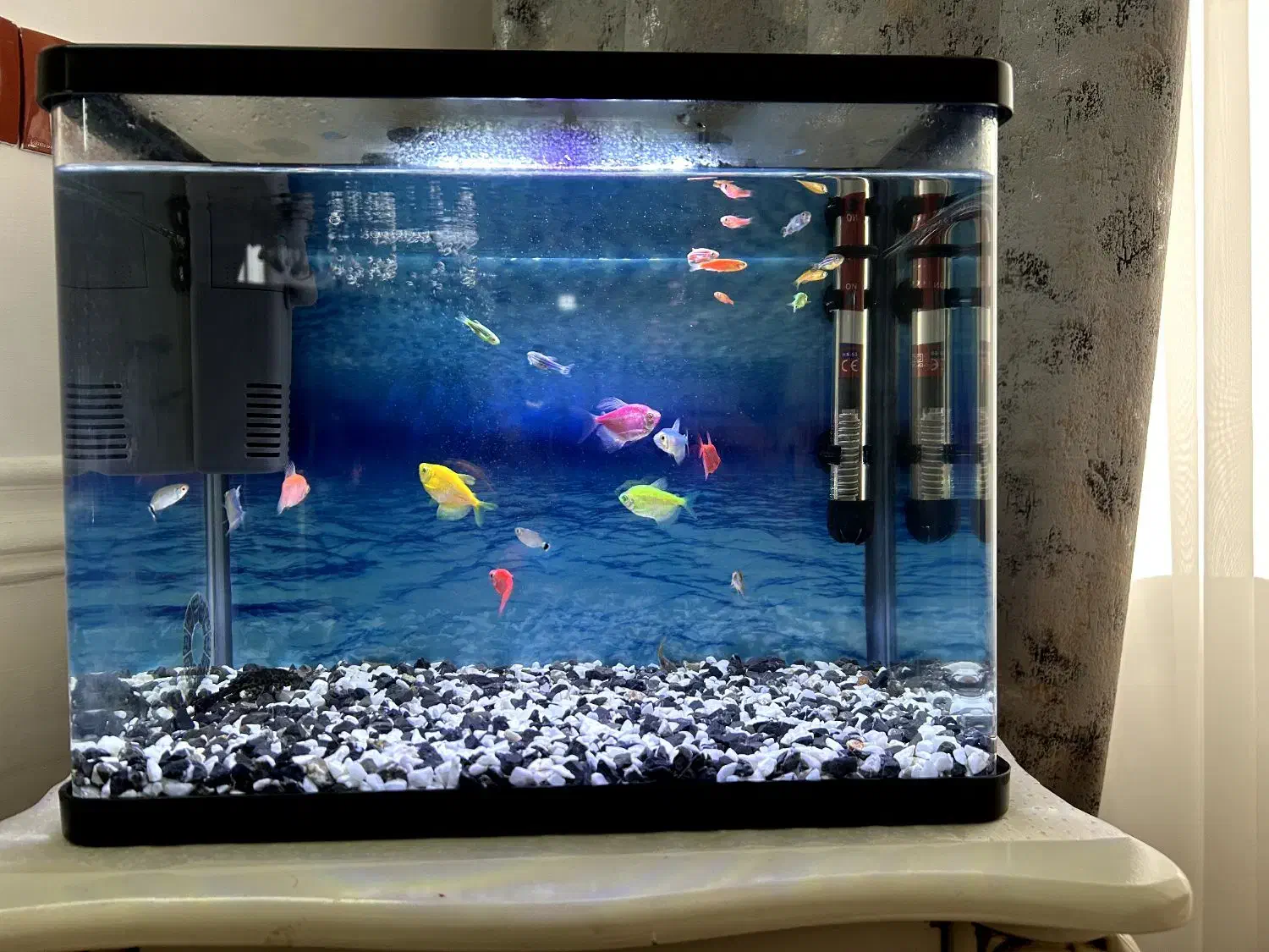 آکواریوم شیشه خم|ماهی|خرم‌آباد, |دیوار