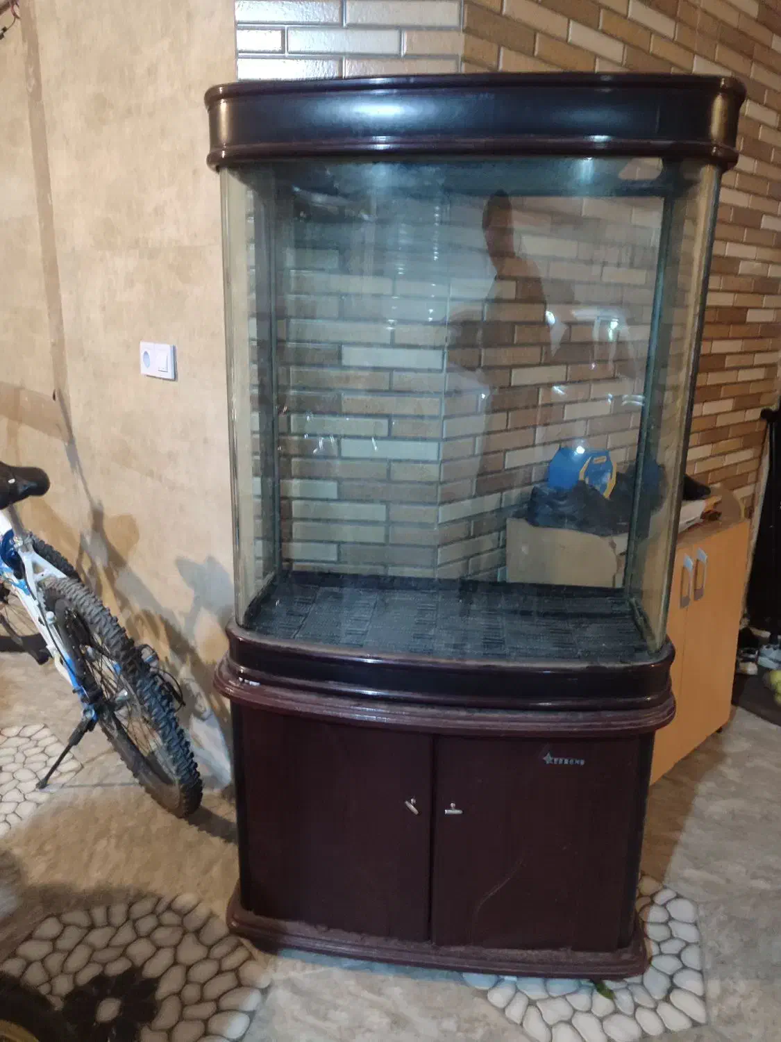 اکواریوم|ماهی|شیروان (خراسان), |دیوار