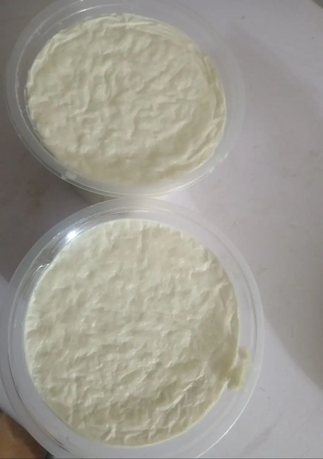 فروش شیر|خوردنی و آشامیدنی|فاریاب, |دیوار