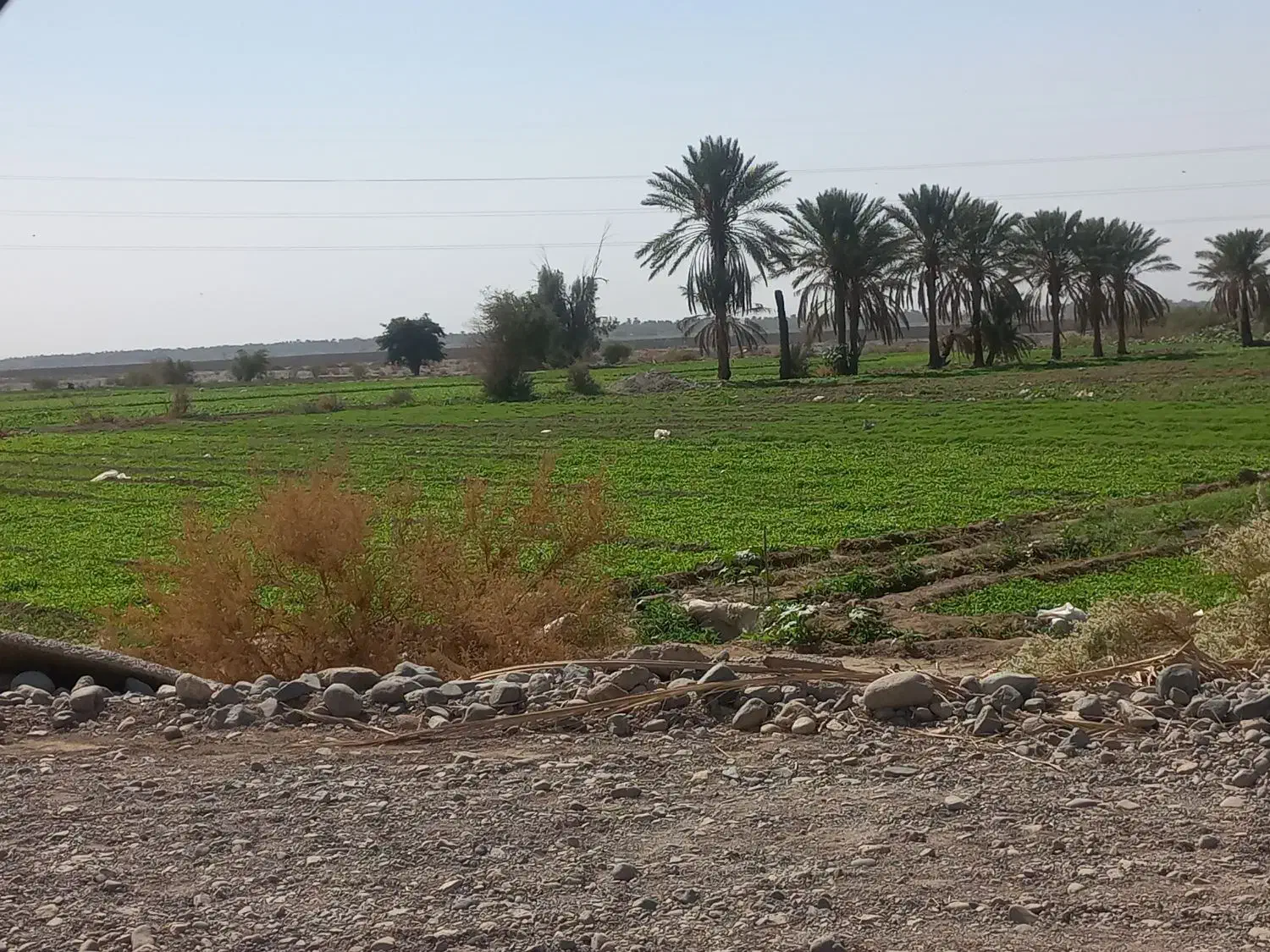 فروش تانکر ۵۰۰۰ لیتری|قطعات یدکی و لوازم جانبی|کهنوج, |دیوار