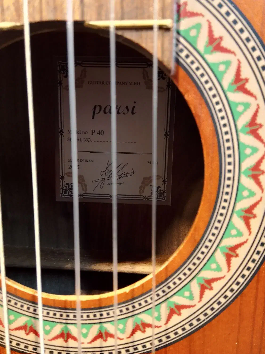 پارسیP40قیمت خرید با کاور|گیتار، بیس، امپلیفایر|شیراز, باغ تخت|دیوار