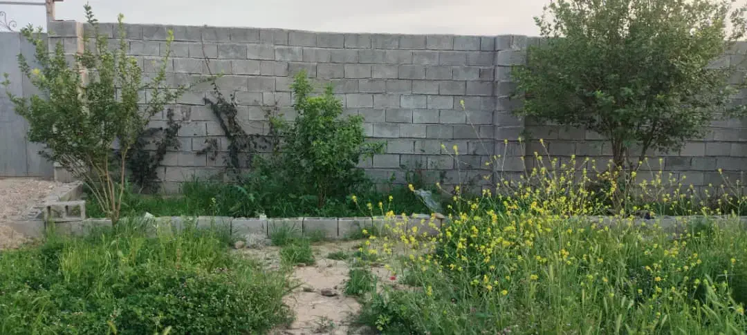 فروش باغ 1260متری نرسیده به چم گلک معاوضه با ماشین|فروش دفتر صنعتی، کشاورزی، تجاری|اندیمشک, |دیوار