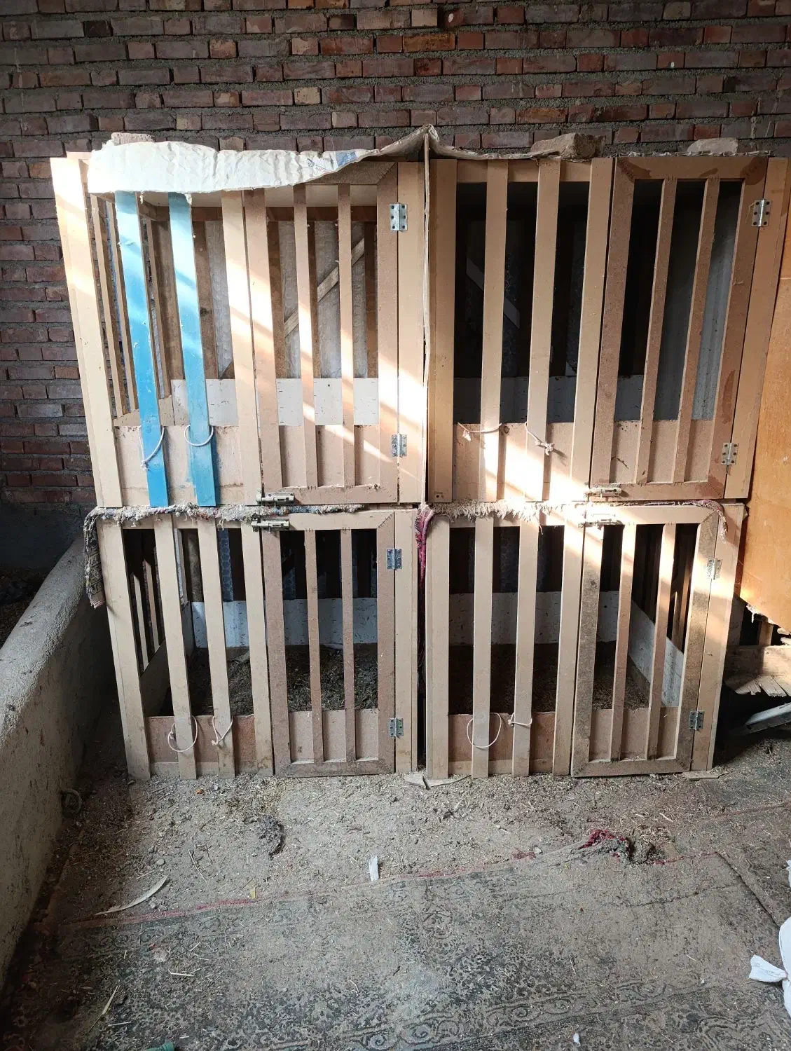 قفس|لوازم جانبی حیوانات|نقده, |دیوار