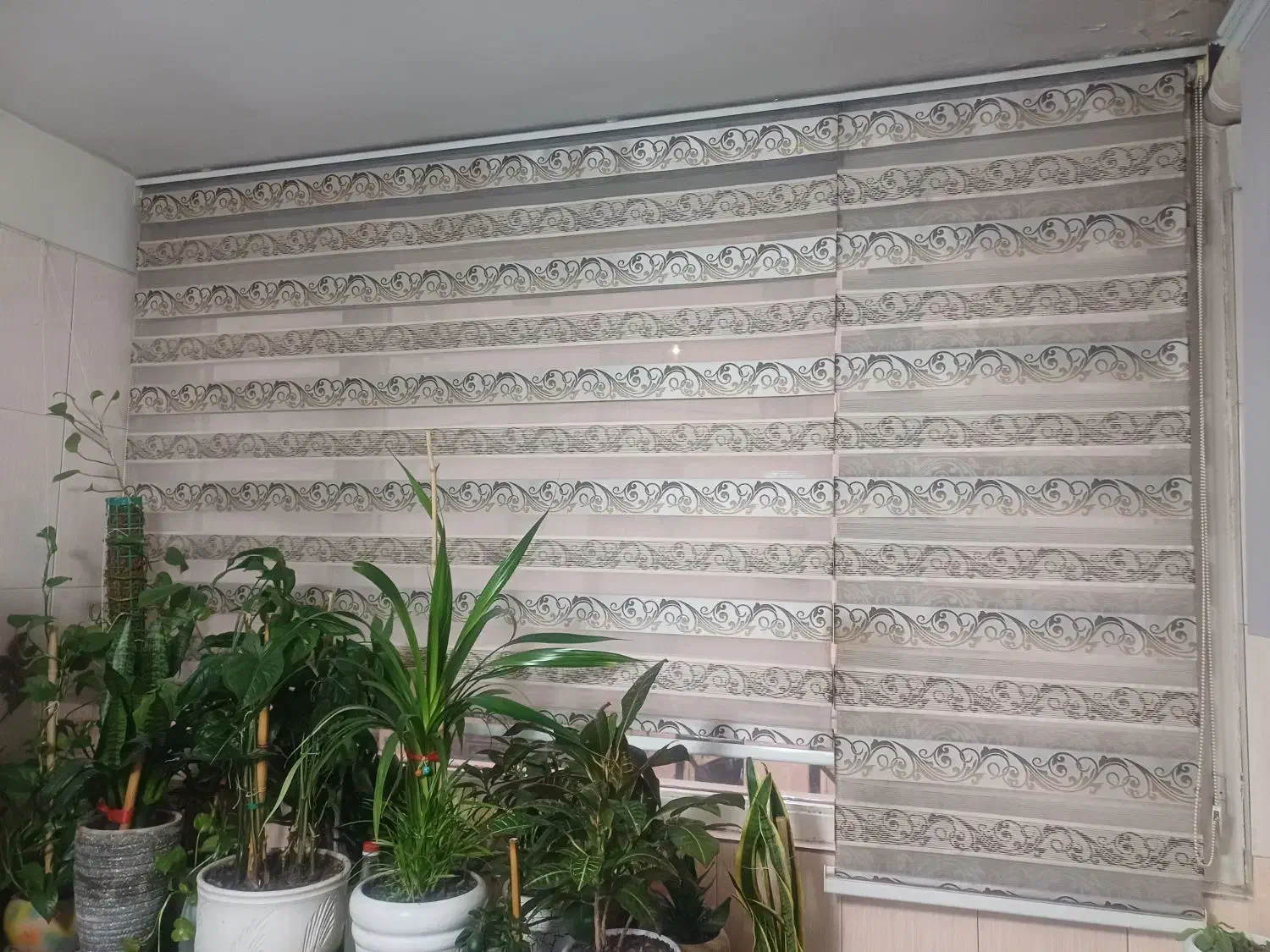 پرده زبرا|پرده، رانر، رومیزی|تهران, شهرک ولیعصر جنوبی|دیوار