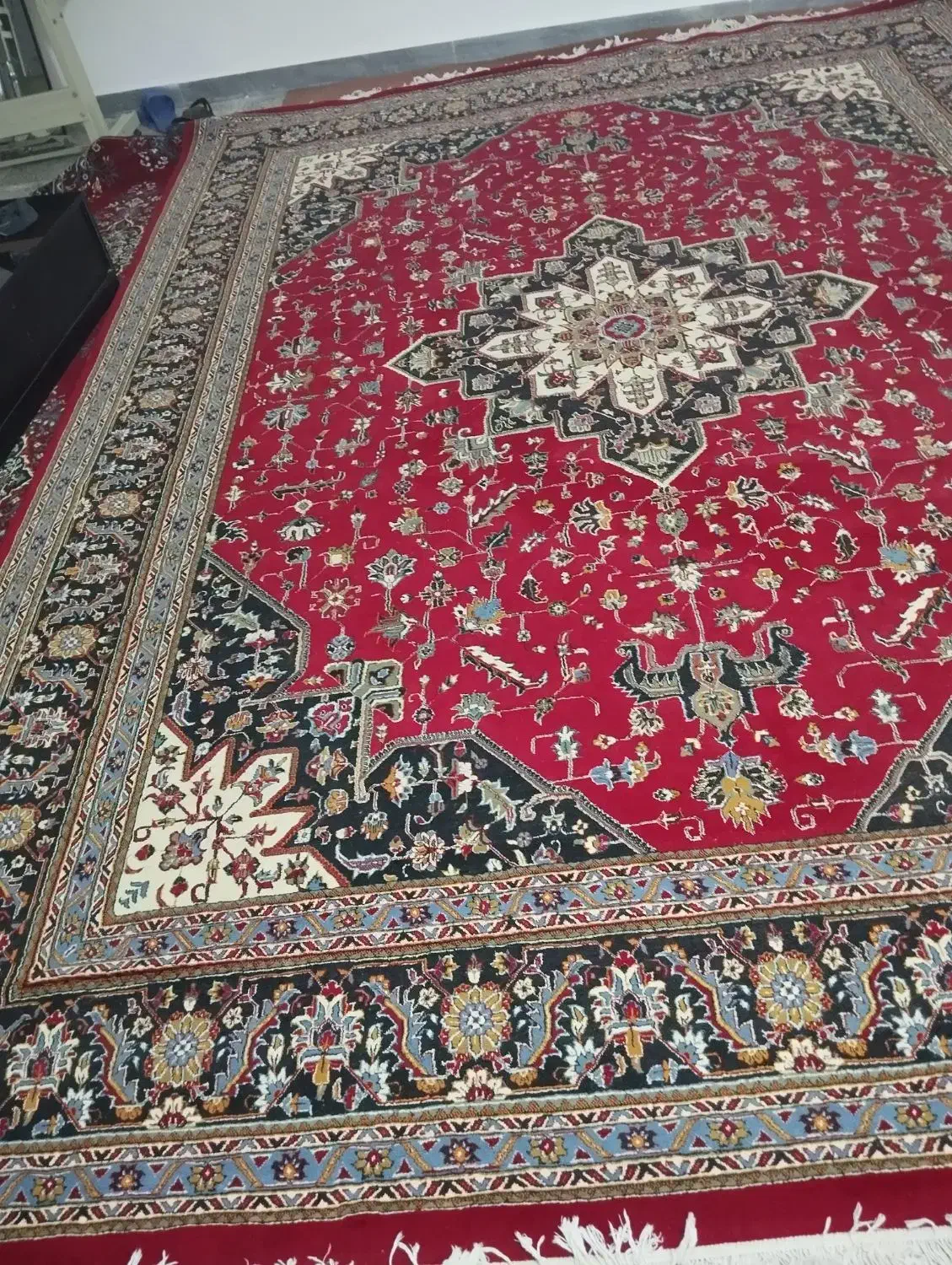 قالی|فرش|شوش, |دیوار