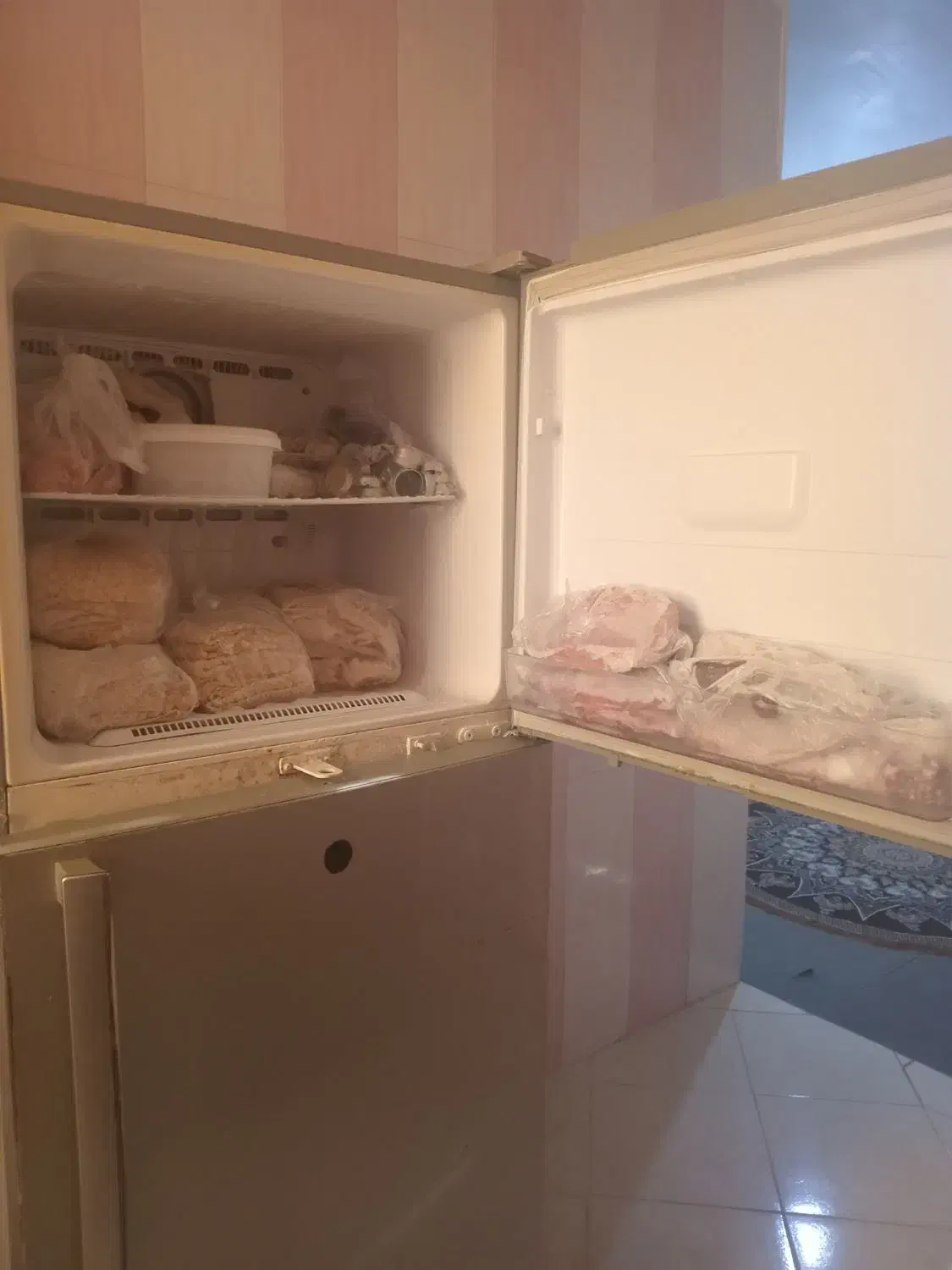 یخچال فریزر|یخچال و فریزر|خورموج, |دیوار