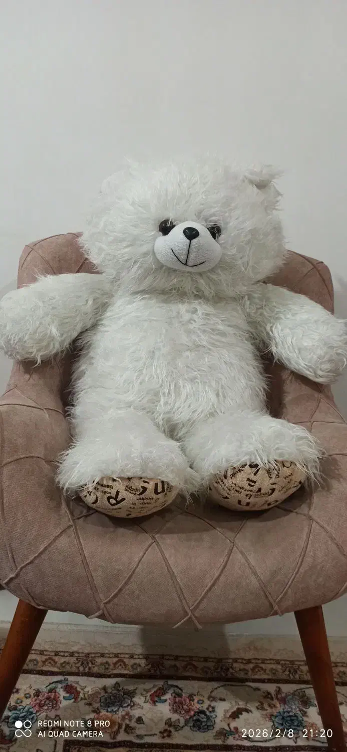 خرس|اسباب‌‌بازی|اردبیل, |دیوار