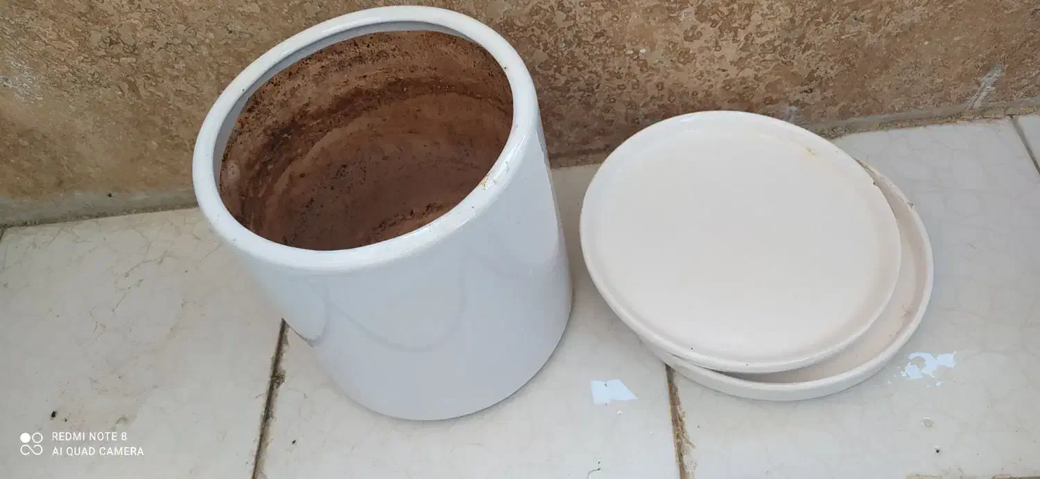 گلدان|گل و گیاه طبیعی|شیراز, فضل‌آباد|دیوار