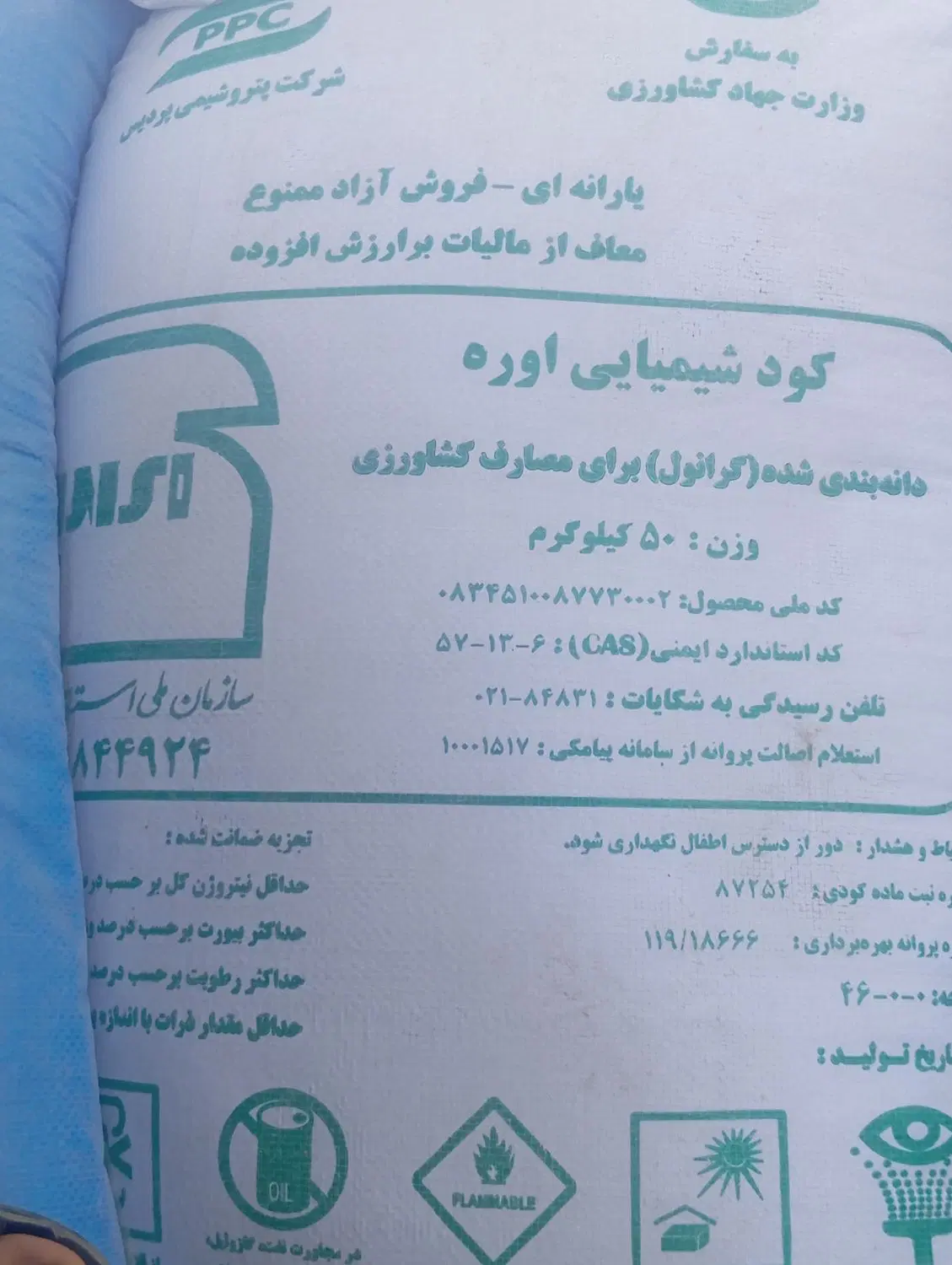 گل و گیاه|گل و گیاه طبیعی|هیرمند, |دیوار