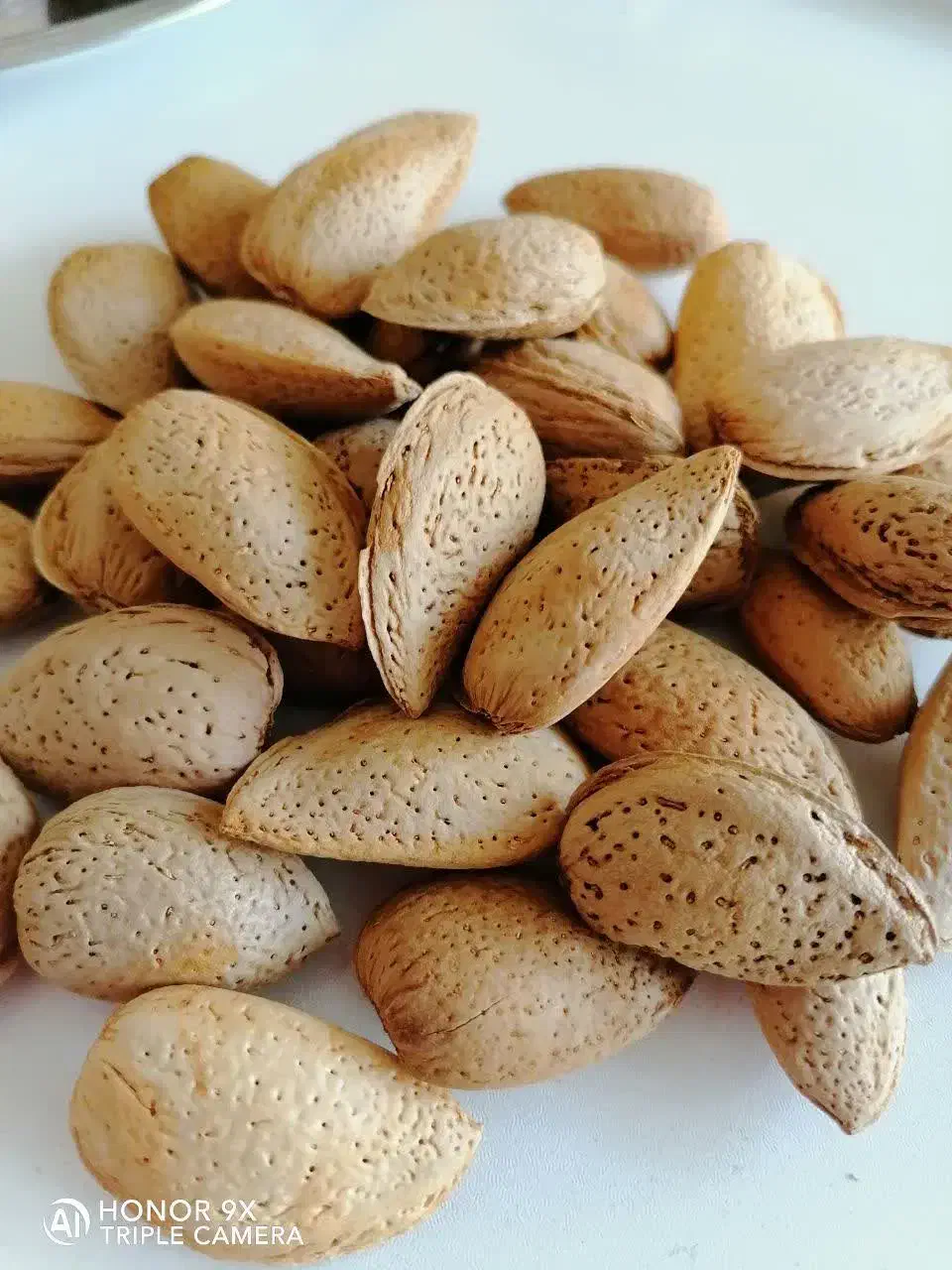بادام درختی|خوردنی و آشامیدنی|پردیس, فاز ۳|دیوار