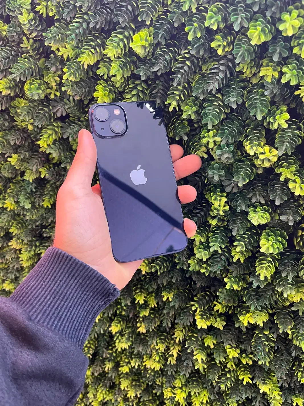 ایفون ۱۳نرمال|موبایل|ساری, |دیوار