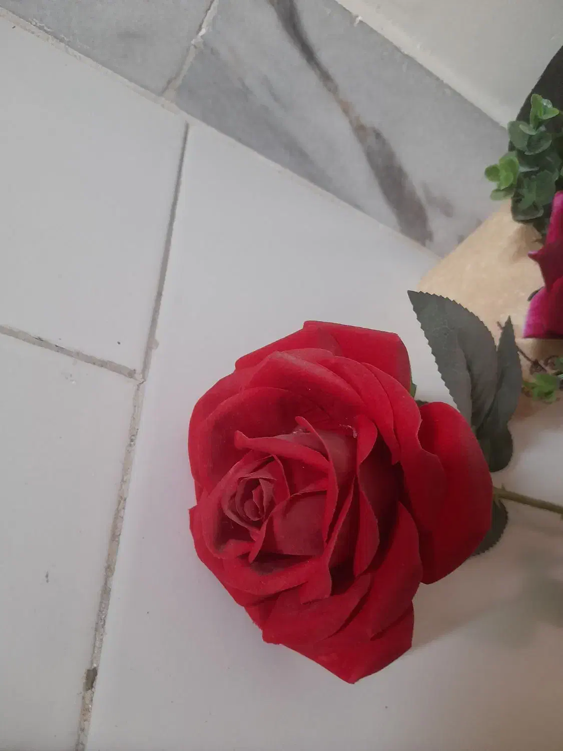 کاملا تمیز و سالم|گل مصنوعی|محمدشهر, جعفرآباد|دیوار