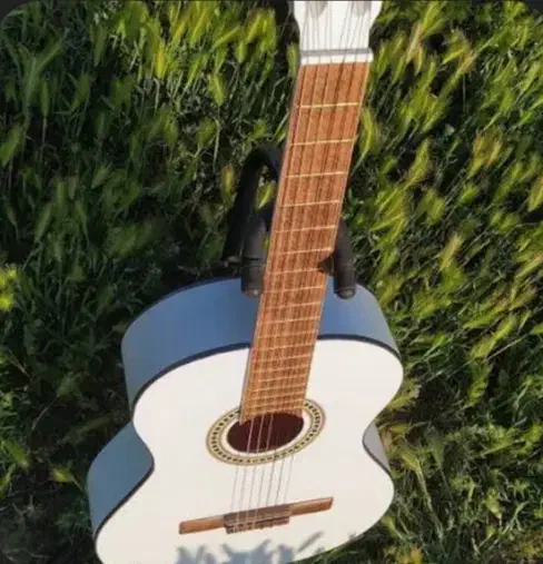 گیتار کلاسیک|گیتار، بیس، امپلیفایر|تالش, هشتپر|دیوار