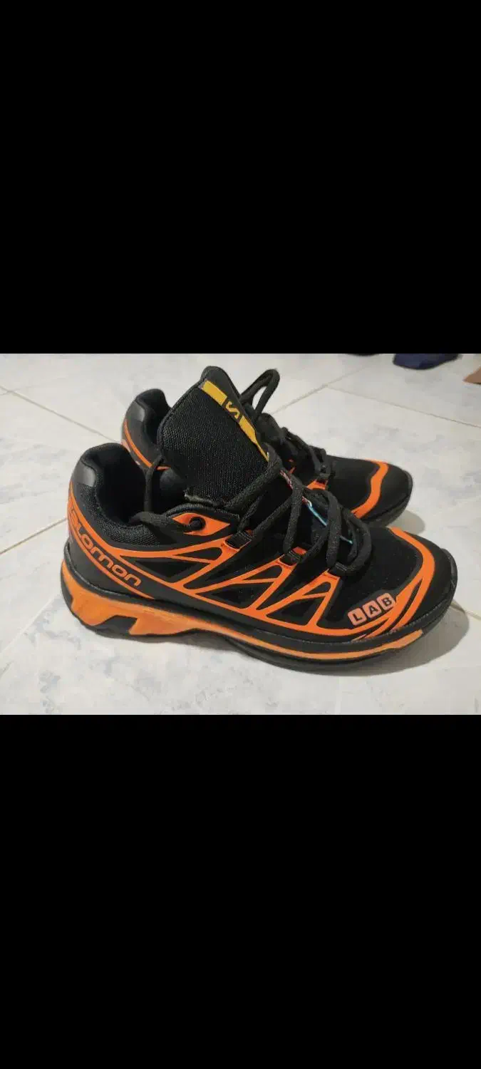 کفش نو|کیف، کفش، کمربند|سنقر, |دیوار