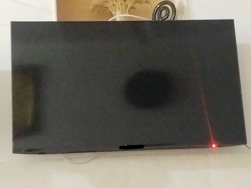 تلویزیون 43اینچ|تلویزیون و پروژکتور|گمیشان, |دیوار