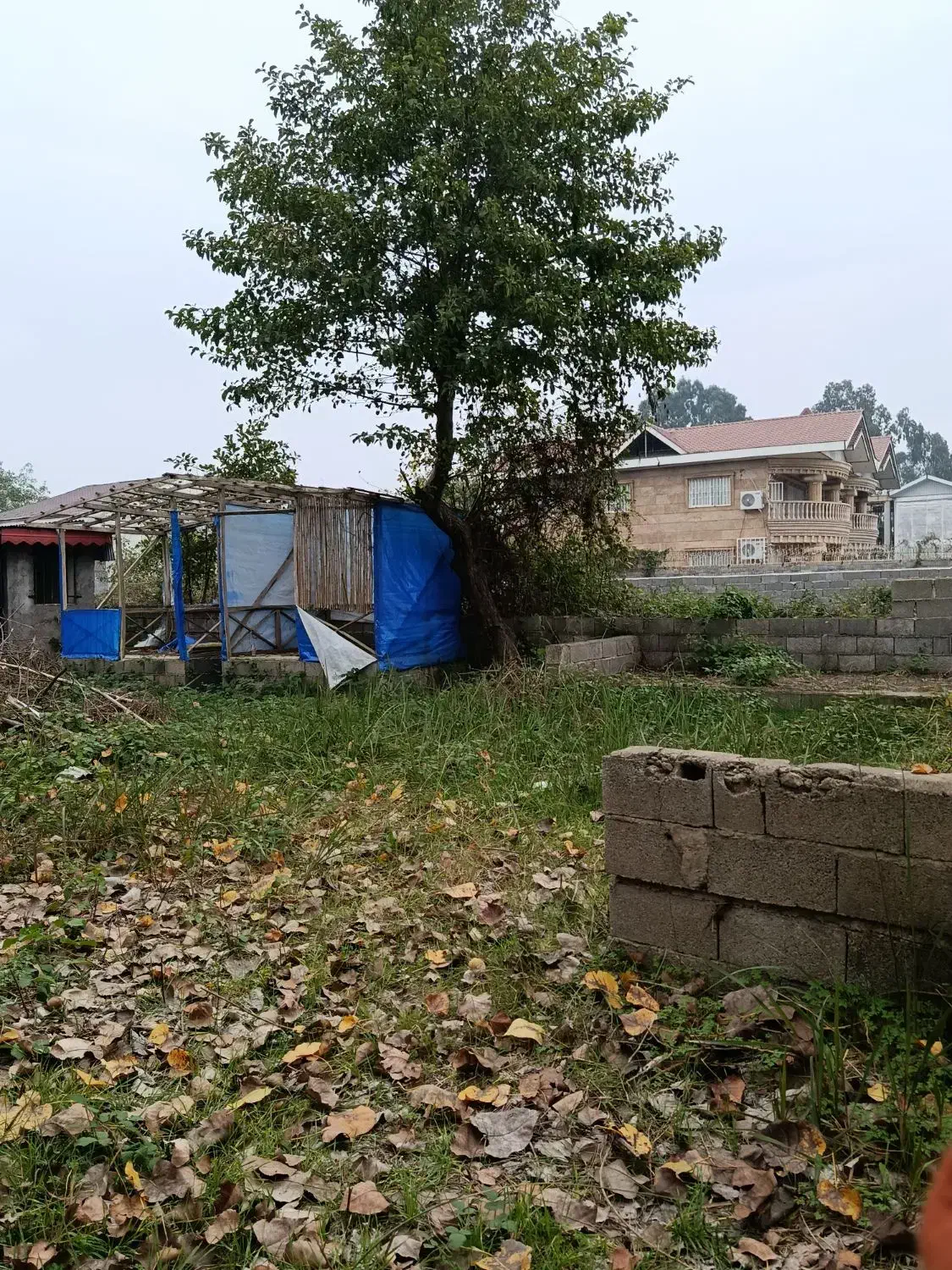 فروش زمین تک برگ سند براول خیابون اصلی|فروش زمین و ملک کلنگی|چاف و چمخاله, |دیوار