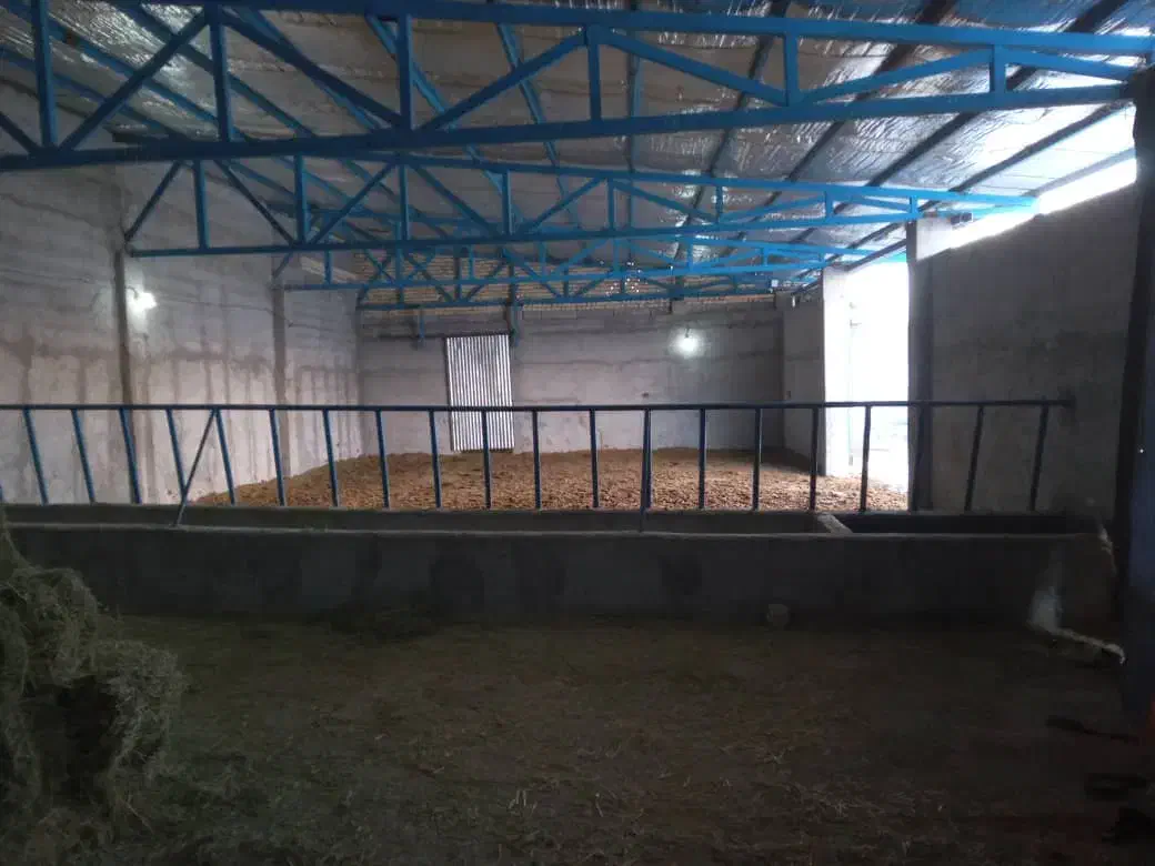 فروش گاوداری|فروش دفتر صنعتی، کشاورزی، تجاری|جونقان, |دیوار