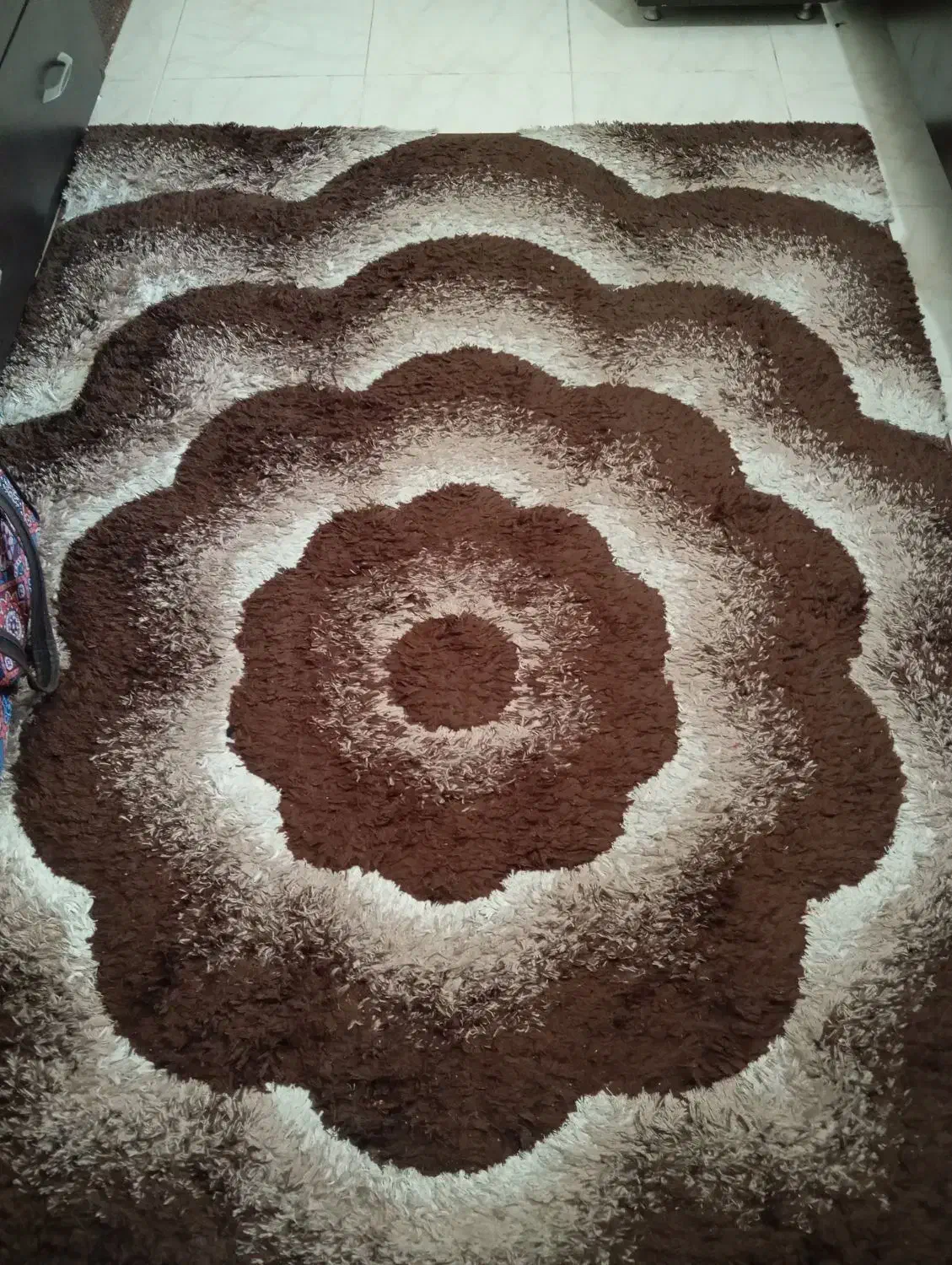 فرش شگی و ماشینی|فرش|شیراز, شهرک والفجر|دیوار