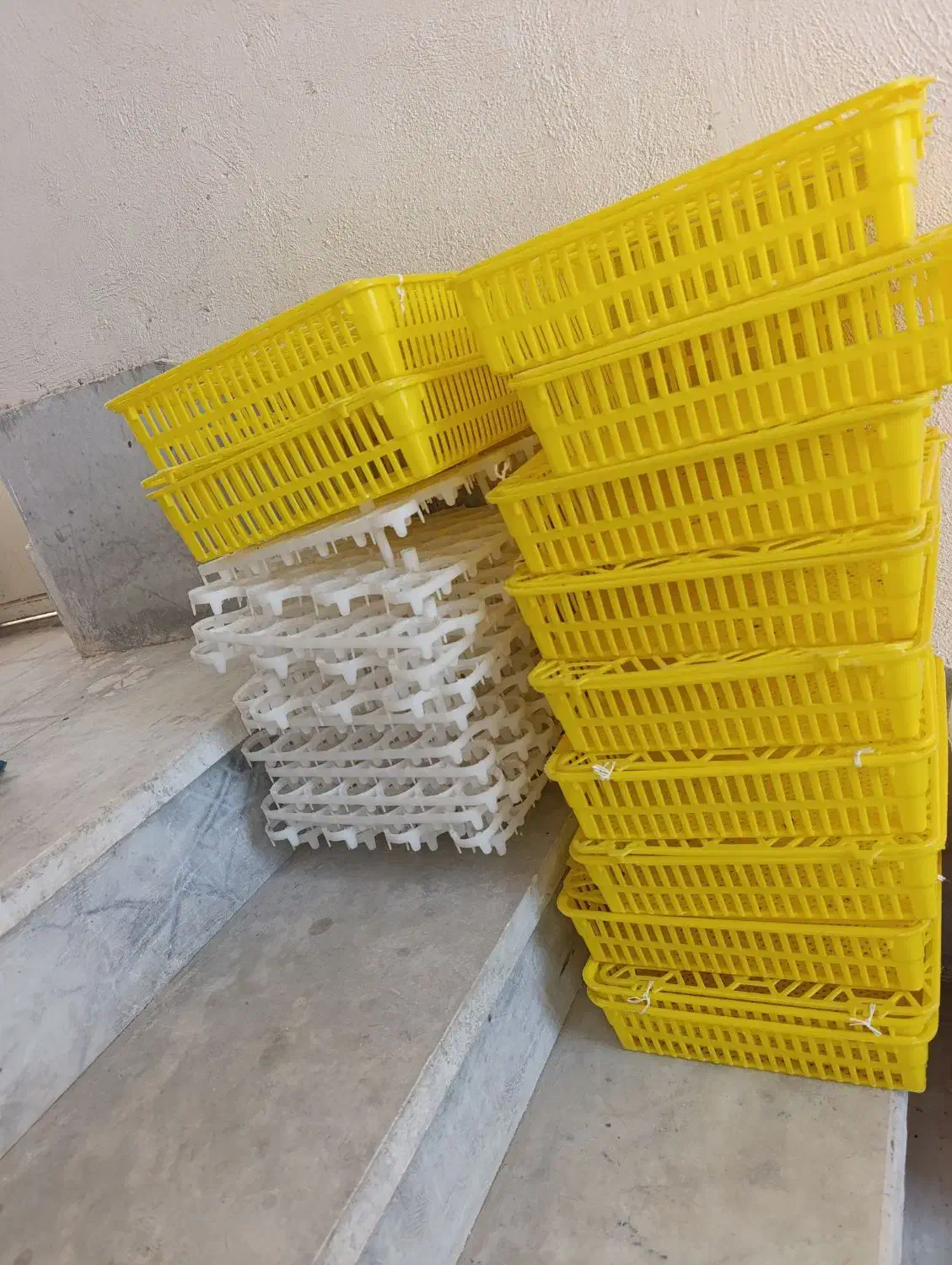 دستگاه جوجه کشی|لوازم جانبی حیوانات|نورآباد ممسنی, |دیوار