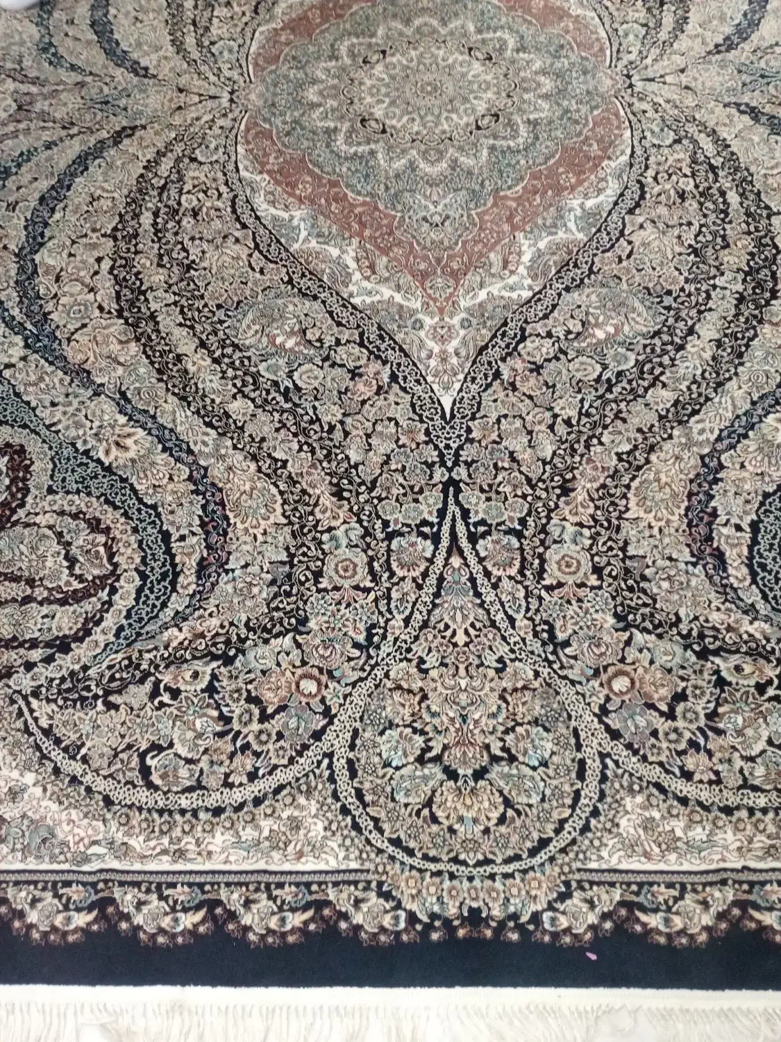 دو عدد فرش کرم سرمه ای|فرش|مشهد, شهید مطهری|دیوار