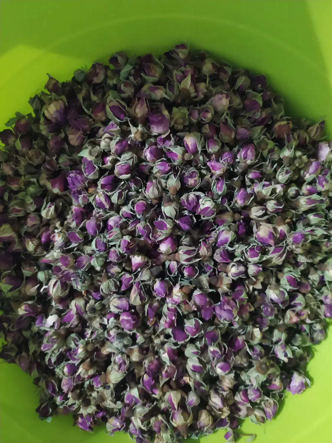 غنچه گل محمدی|خوردنی و آشامیدنی|میانه, |دیوار