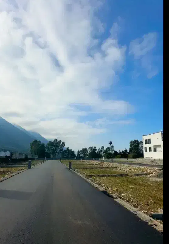 فروش زمین شهرکی تفکیک شده ویو جنگل|فروش زمین و ملک کلنگی|امامزاده عبدالله, |دیوار