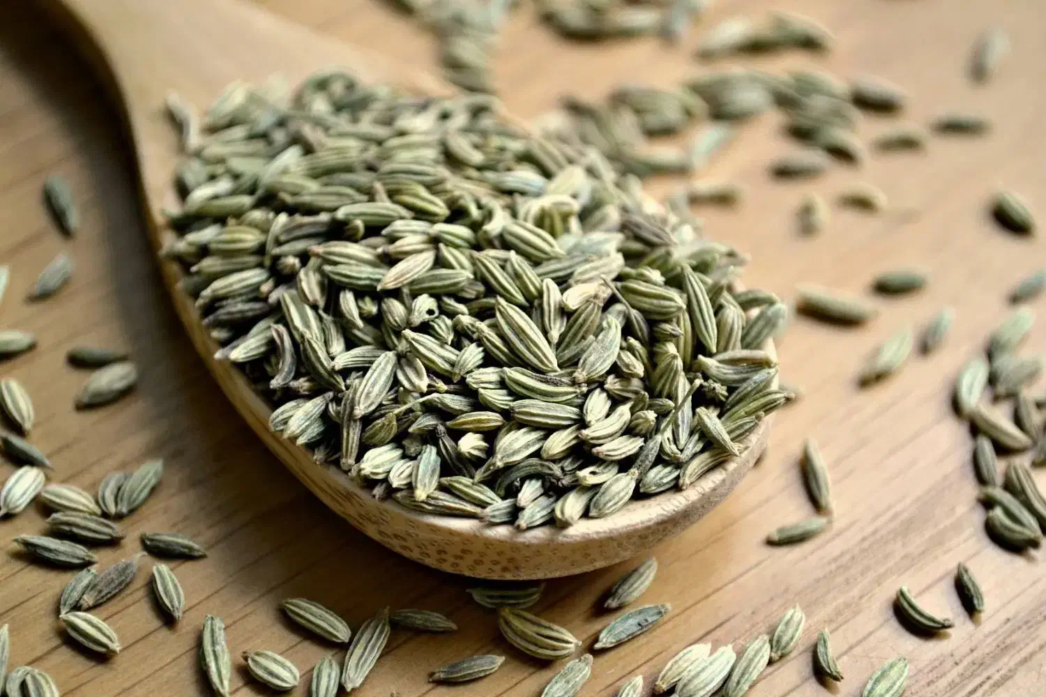 فروش رازیانه|خوردنی و آشامیدنی|تهران, ترمینال غرب|دیوار