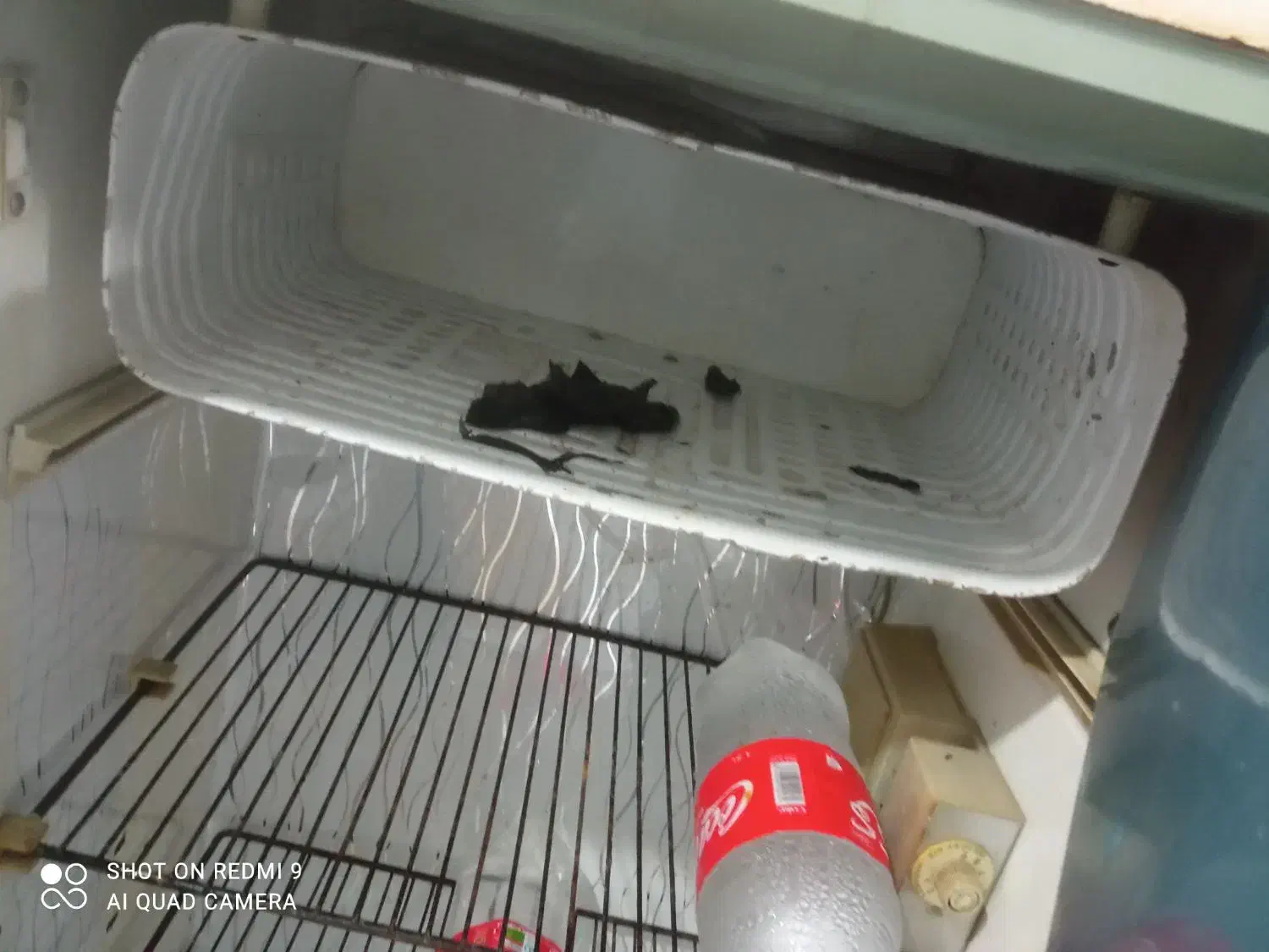 یخچال فریزر کوچک‌ و جم جور سالم سالم به شرط میدم|یخچال و فریزر|مشهد, نظام دوست|دیوار