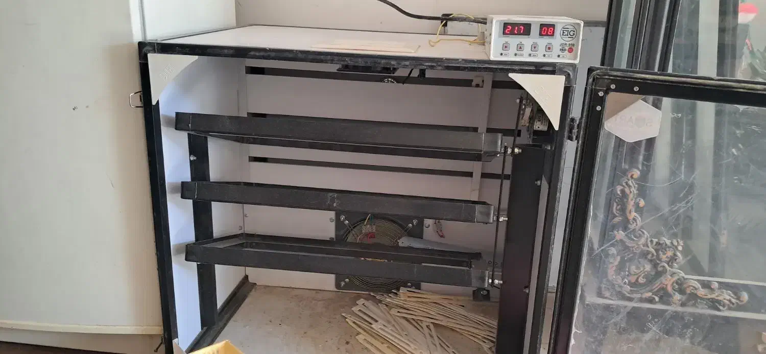 دستگاه جوجه کشی صنعتی|لوازم جانبی حیوانات|رفسنجان, |دیوار