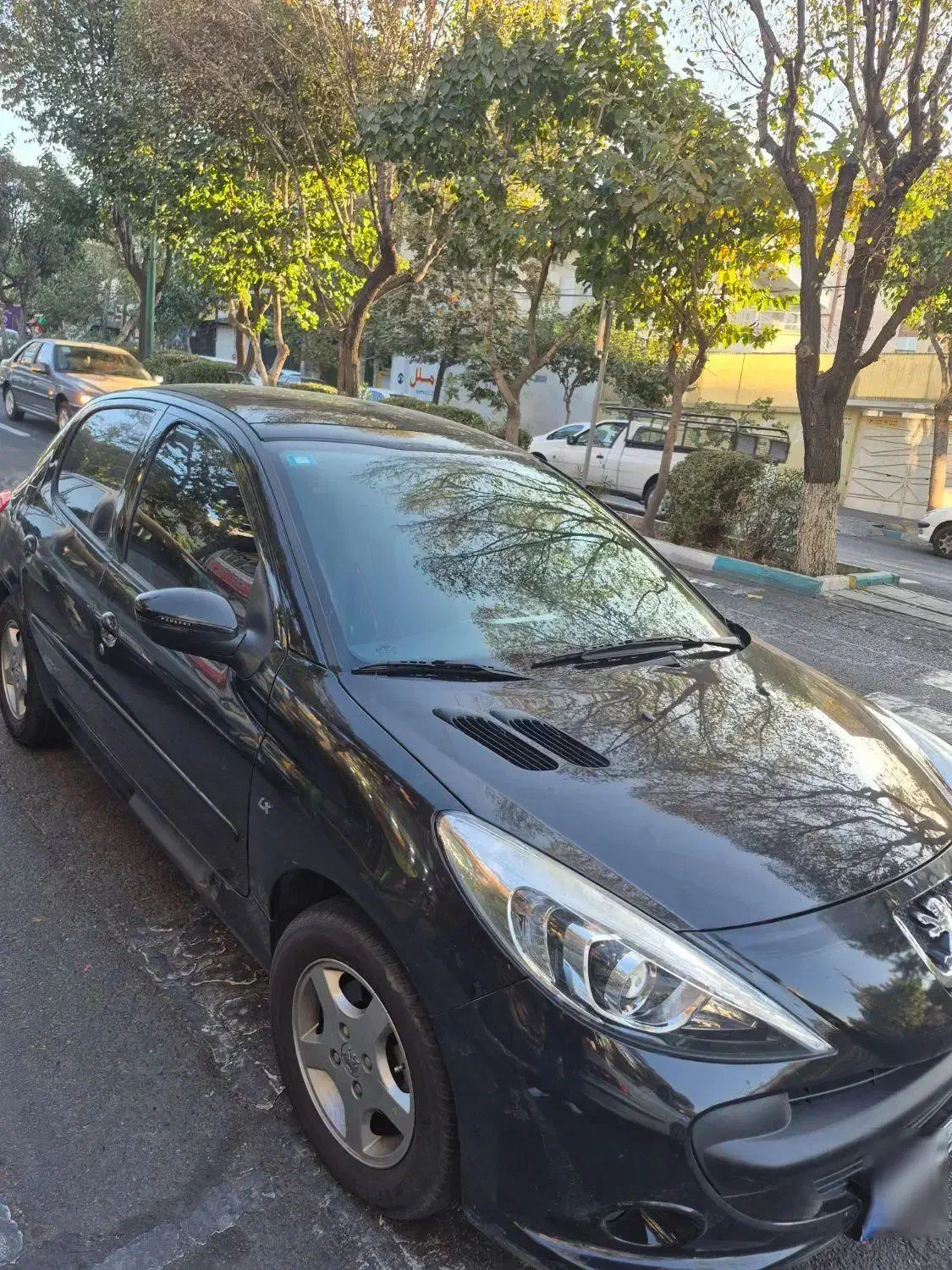 ۲۰۷ پانا بی رنگ ۴۰۱|خودرو سواری و وانت|تهران, جماران (نیاوران)|دیوار