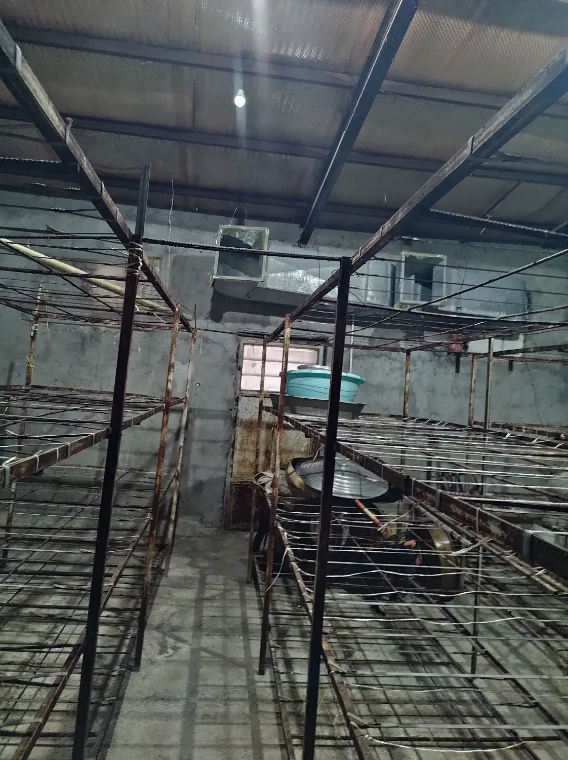 اجاره سالن قارچ|اجارهٔ دفتر صنعتی، کشاورزی، تجاری|مراغه, |دیوار