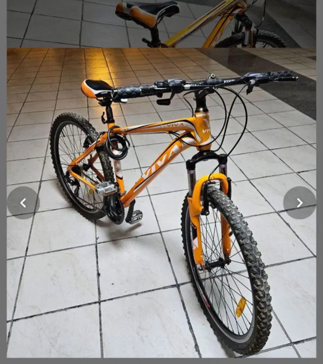 دوچرخه ویوا|دوچرخه، اسکیت، اسکوتر|کیش, |دیوار