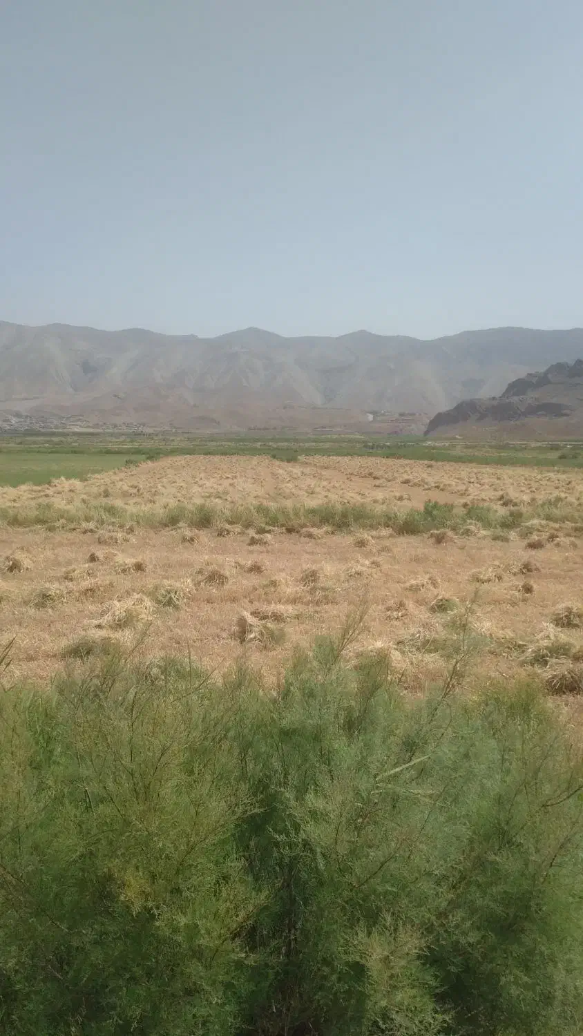 دروگر مدل۷۷ اصل ایتالیایی با ۳تا جلوبندی|خودرو سنگین|زنجان, |دیوار