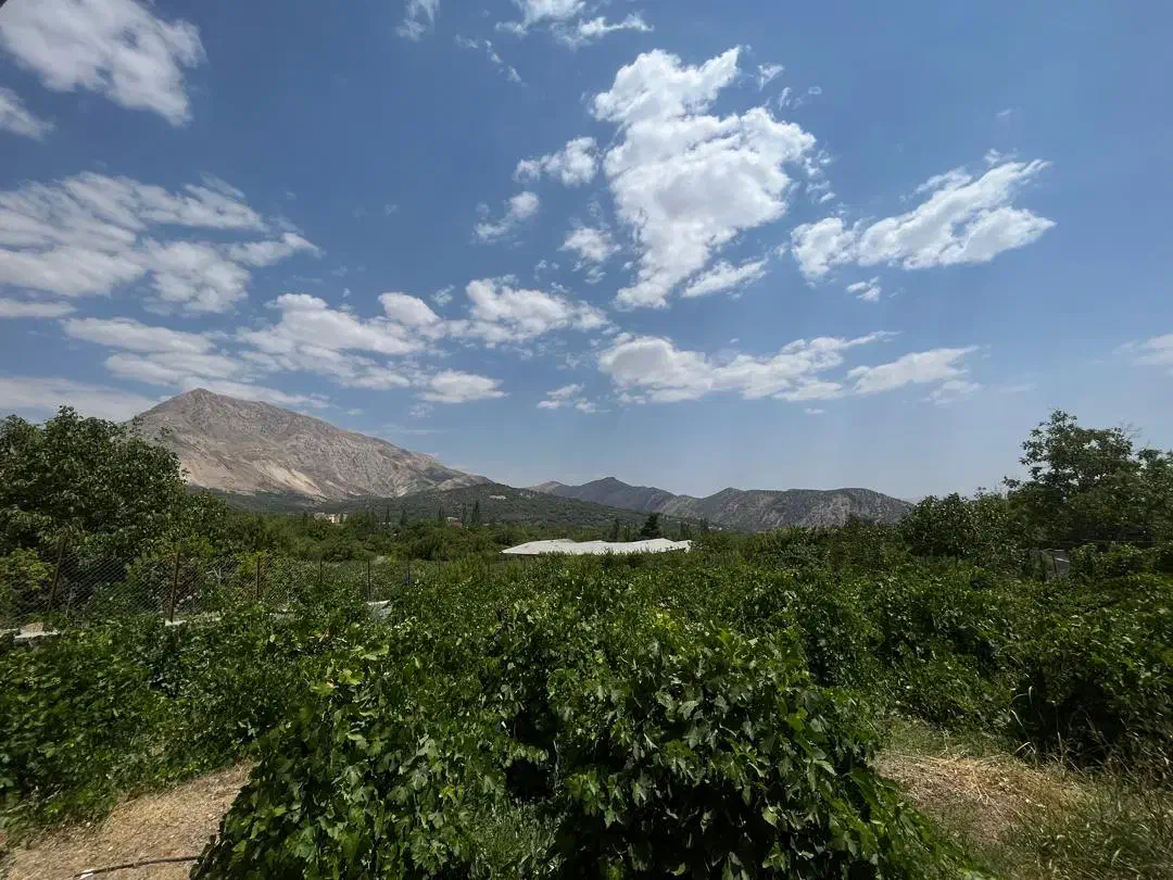 زمین ۱۰۰۰ متری کودیان|فروش زمین و ملک کلنگی|شیراز, کودیان|دیوار