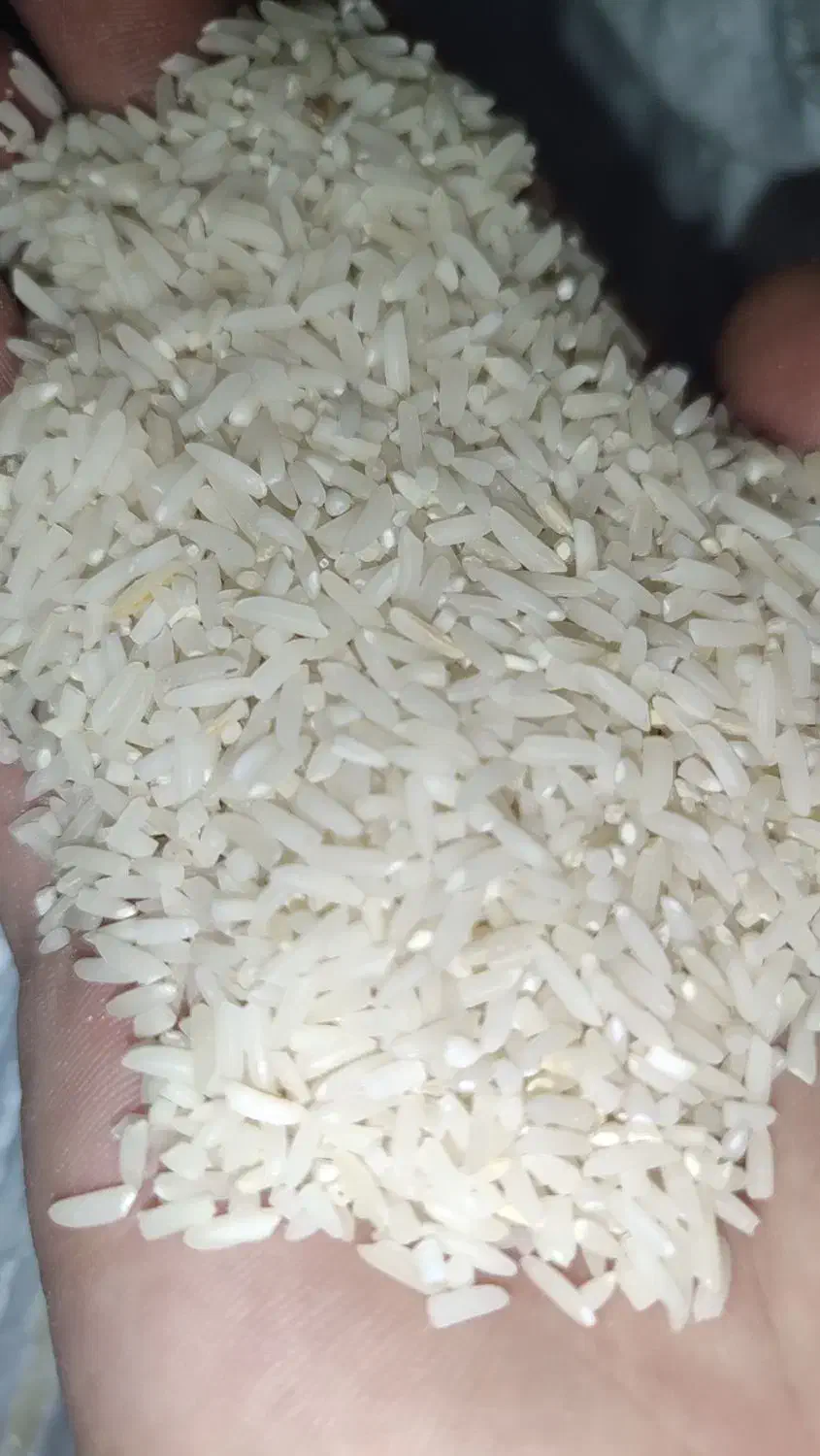 برنج دمسیاه|خوردنی و آشامیدنی|کلاله, |دیوار