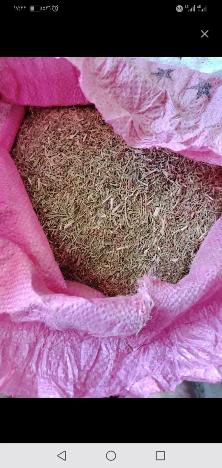 کاه خار|خدمات باغبانی و درختکاری|نصر آباد, |دیوار