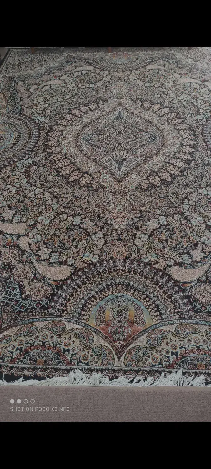 قالی 12متری|فرش|شوش, |دیوار