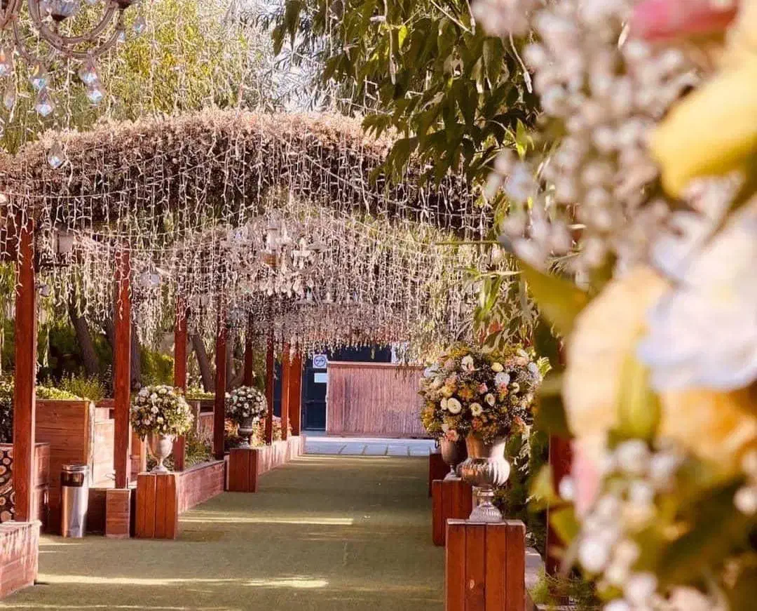 تشریفات عروسی ورودی رایگان|خدمات پذیرایی، مراسم|تهران, سعادتآباد|دیوار