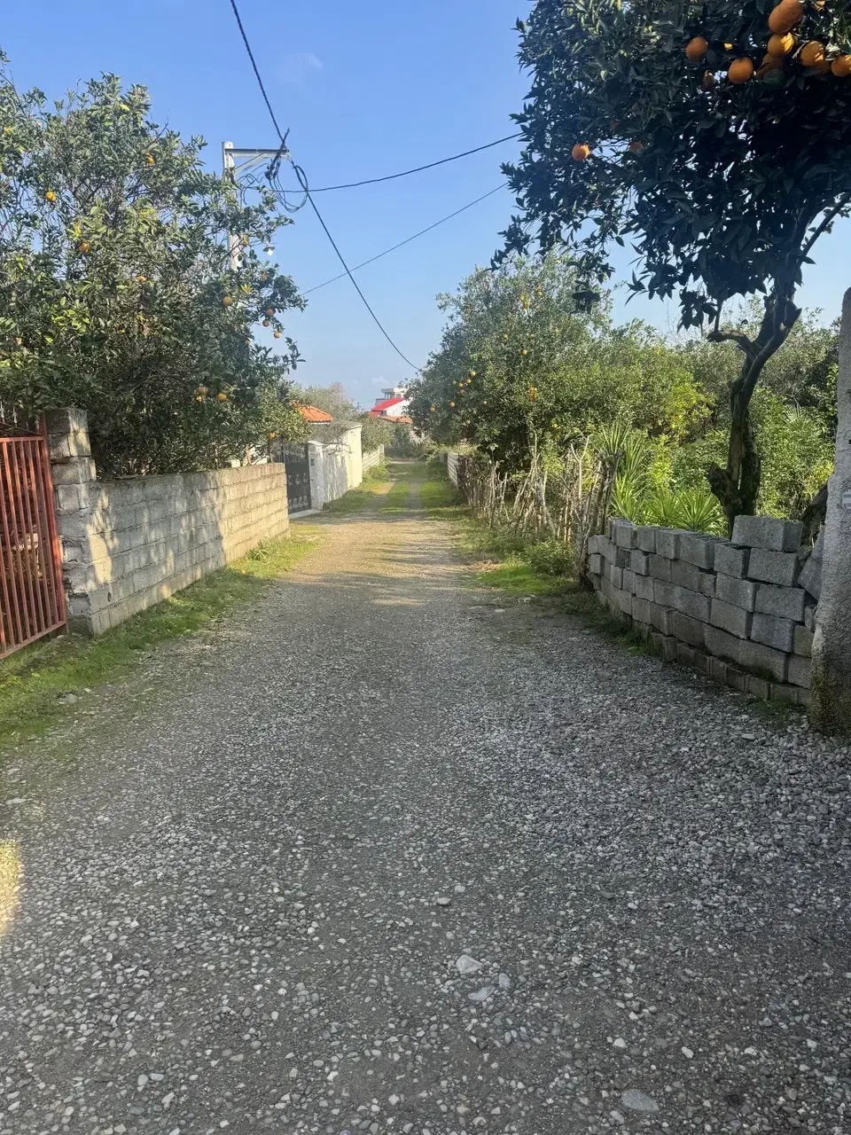 فروش زمین ۳۵۰ متری مسکونی کوچه خصوصی|فروش زمین و ملک کلنگی|نشتارود, |دیوار