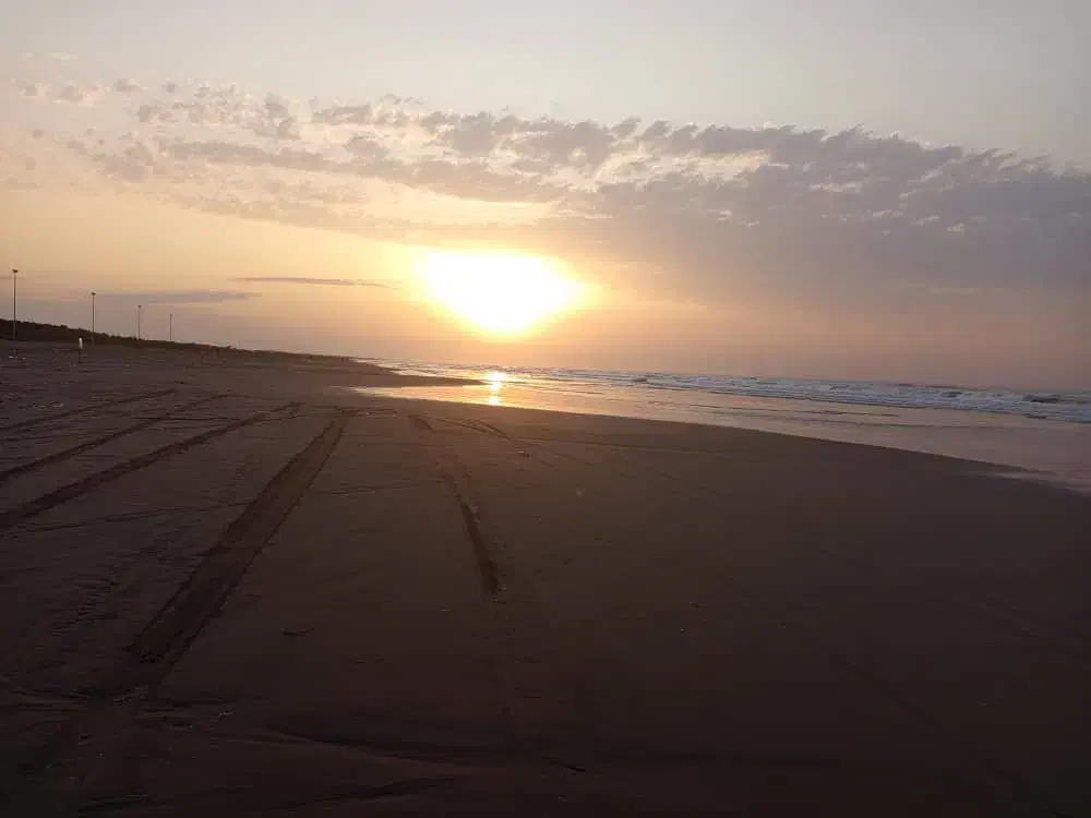 امور منزل|استخدام سرایداری و نظافت|تهران, سازمان برنامه جنوبی|دیوار