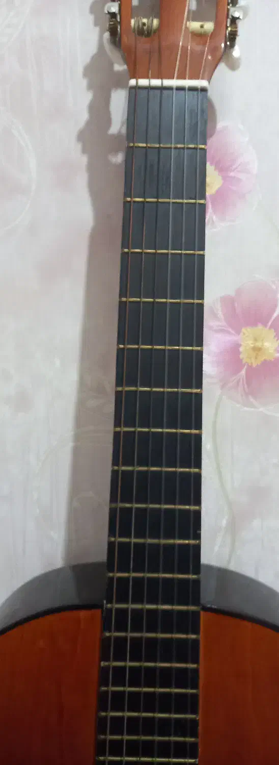 گیتار|گیتار، بیس، امپلیفایر|نهاوند, |دیوار