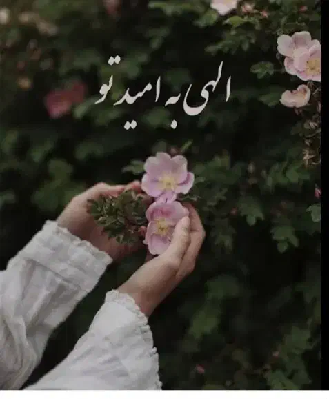 نیازمند وام یاپول هستم|فعالیت داوطلبانه|کاشان, امیرکبیر|دیوار